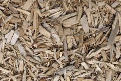 biomass boilers Egdon