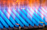 Egdon gas fired boilers